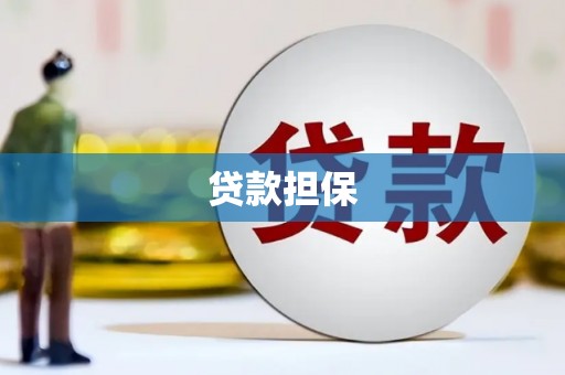 白山贷款担保
