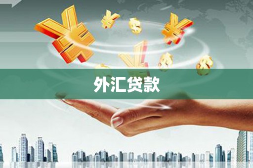 白山外汇贷款