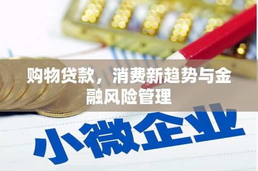 白山购物贷款，消费新趋势与金融风险管理