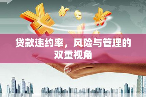 白山贷款违约率，风险与管理的双重视角