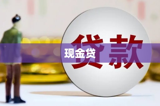 白山现金贷