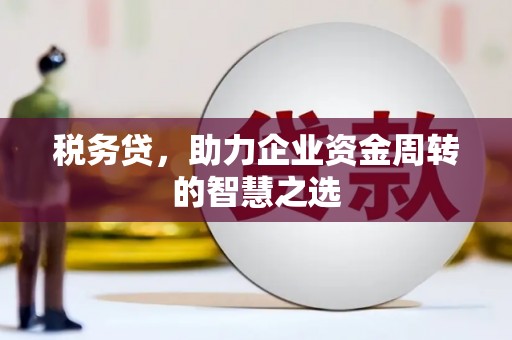 白山税务贷，助力企业资金周转的智慧之选