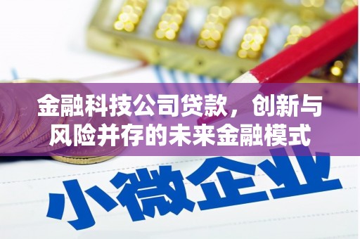 白山金融科技公司贷款，创新与风险并存的未来金融模式