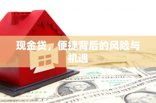 白山现金贷，便捷背后的风险与机遇