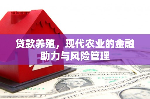 白山贷款养殖，现代农业的金融助力与风险管理