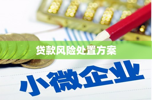 白山贷款风险处置方案