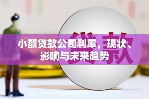 白山小额贷款公司利率，现状、影响与未来趋势