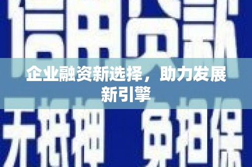 白山企业融资新选择，助力发展新引擎