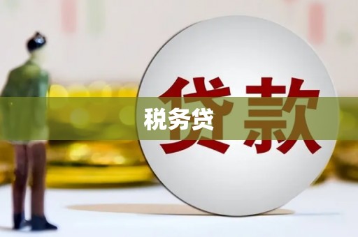 白山税务贷