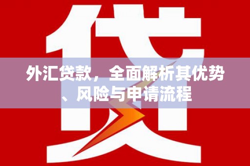 白山外汇贷款，全面解析其优势、风险与申请流程