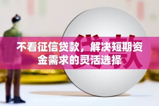 白山不看征信贷款，解决短期资金需求的灵活选择