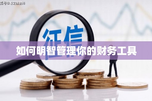 白山如何明智管理你的财务工具