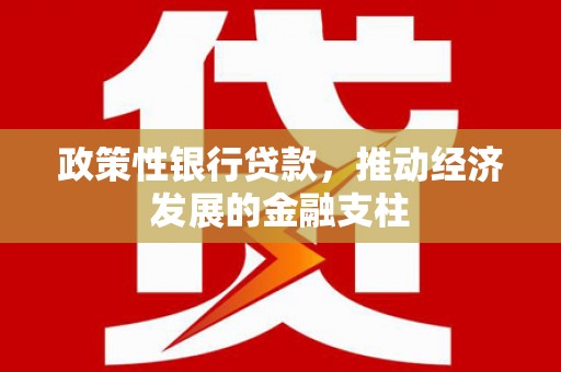 白山政策性银行贷款，推动经济发展的金融支柱