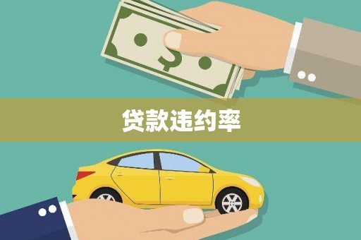白山贷款违约率