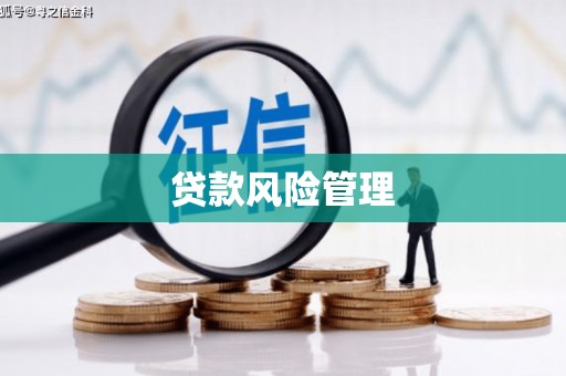 白山贷款风险管理
