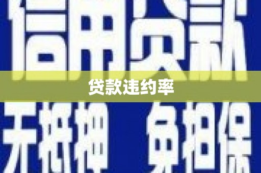 白山贷款违约率