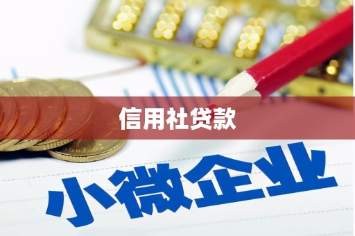 白山信用社贷款
