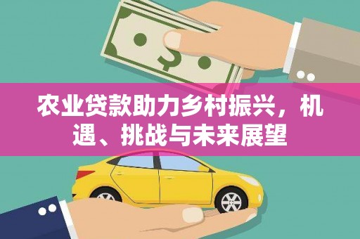 白山农业贷款助力乡村振兴，机遇、挑战与未来展望