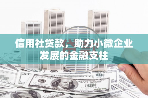 白山信用社贷款，助力小微企业发展的金融支柱