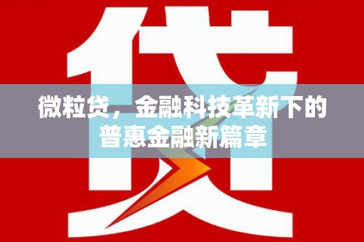 白山微粒贷，金融科技革新下的普惠金融新篇章