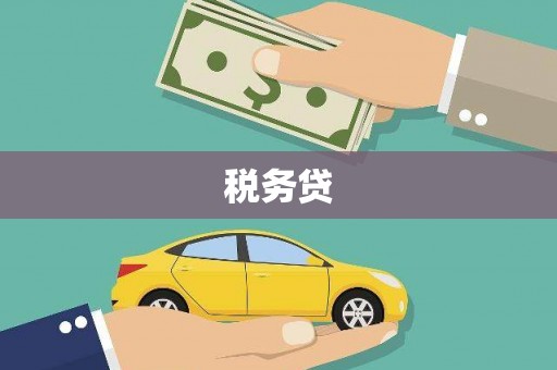白山税务贷