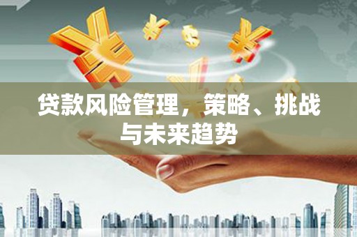 白山贷款风险管理，策略、挑战与未来趋势