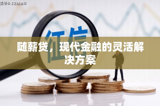 白山随薪贷，现代金融的灵活解决方案
