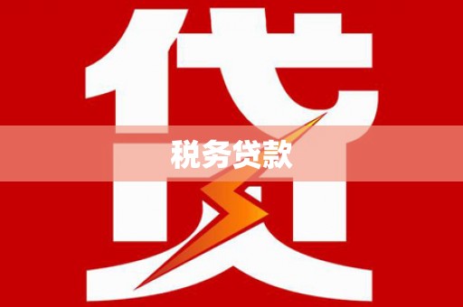 白山税务贷款