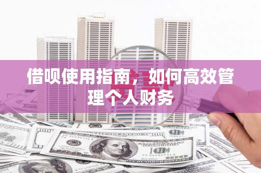 白山借呗使用指南，如何高效管理个人财务