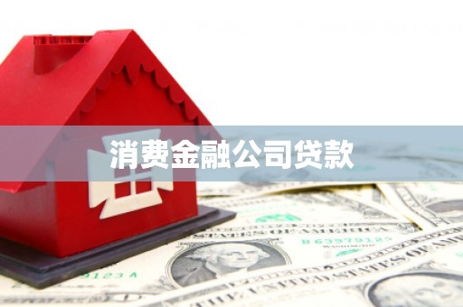 白山消费金融公司贷款