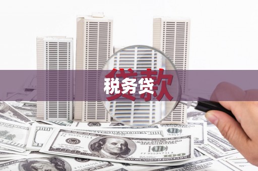 白山税务贷