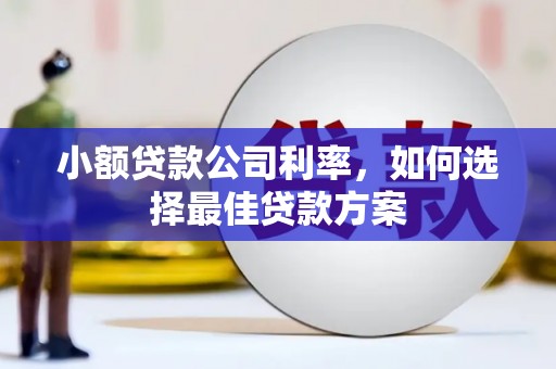 白山小额贷款公司利率，如何选择最佳贷款方案