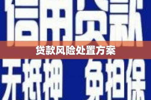 白山贷款风险处置方案