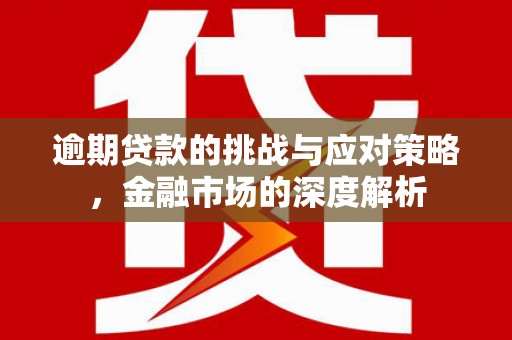 白山逾期贷款的挑战与应对策略，金融市场的深度解析