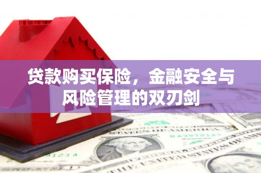 白山贷款购买保险，金融安全与风险管理的双刃剑
