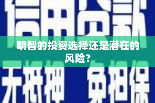 白山明智的投资选择还是潜在的风险？