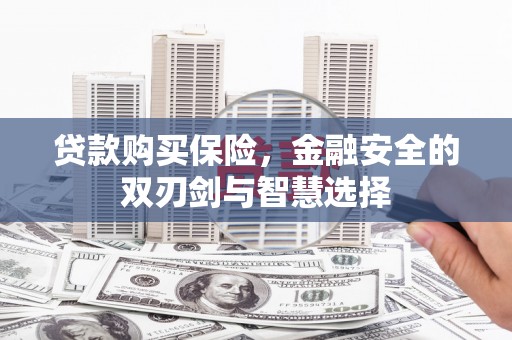 白山贷款购买保险，金融安全的双刃剑与智慧选择