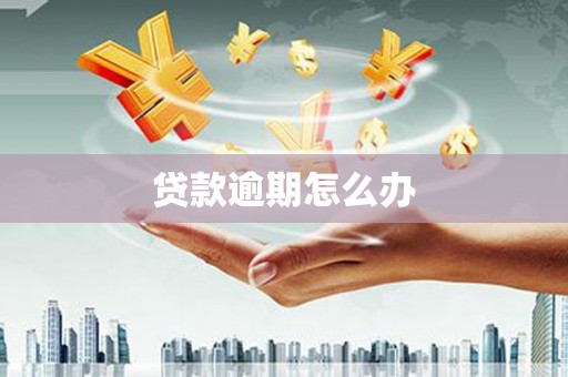 白山贷款逾期怎么办