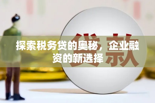 白山探索税务贷的奥秘，企业融资的新选择