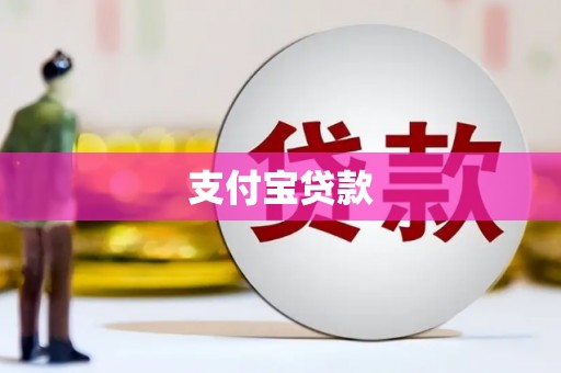 白山支付宝贷款