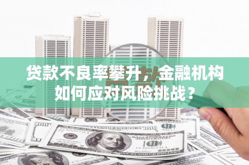 白山贷款不良率攀升，金融机构如何应对风险挑战？