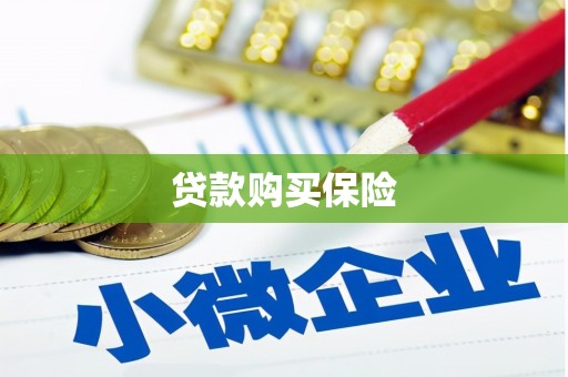 白山贷款购买保险
