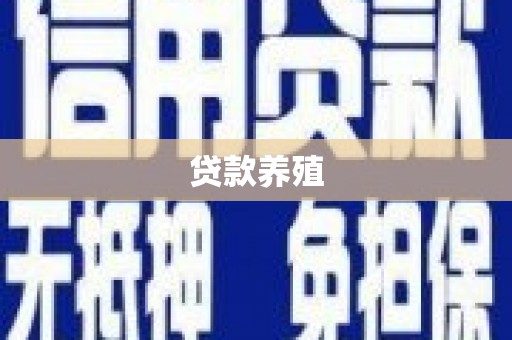 白山贷款养殖