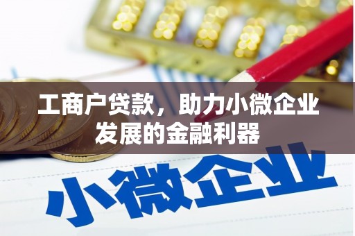 白山工商户贷款，助力小微企业发展的金融利器