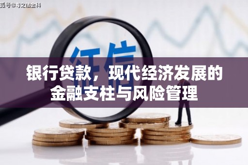 白山银行贷款，现代经济发展的金融支柱与风险管理