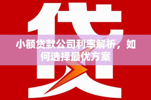 白山小额贷款公司利率解析，如何选择最优方案