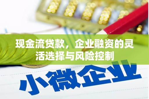 白山现金流贷款，企业融资的灵活选择与风险控制
