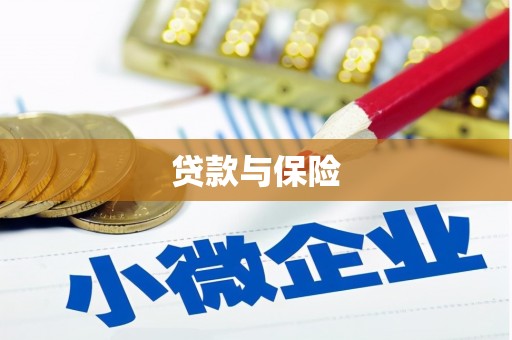 白山贷款与保险