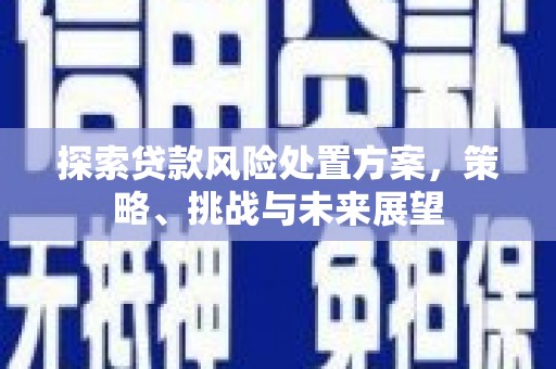 白山探索贷款风险处置方案，策略、挑战与未来展望