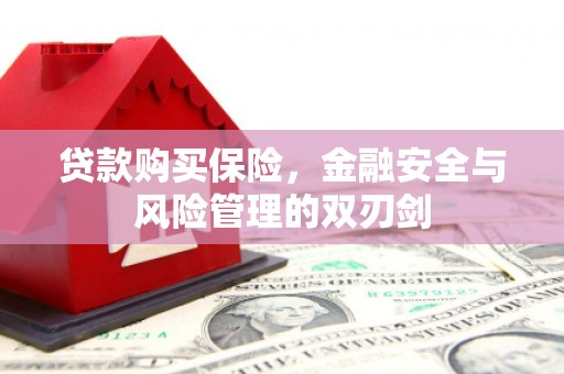 白山贷款购买保险，金融安全与风险管理的双刃剑